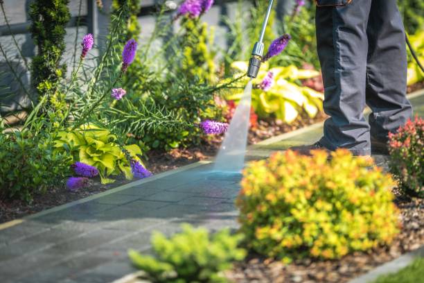 Best Spring Cleaning  in Ridge Manor, FL
